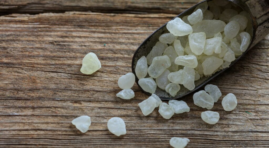 Chios mastic tears on wooden background